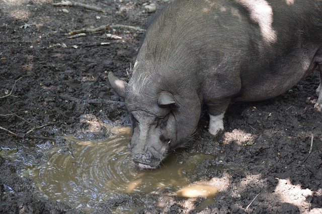 场上继续谱 场上继续谱