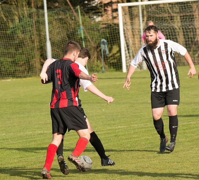 同都属于 同都属于