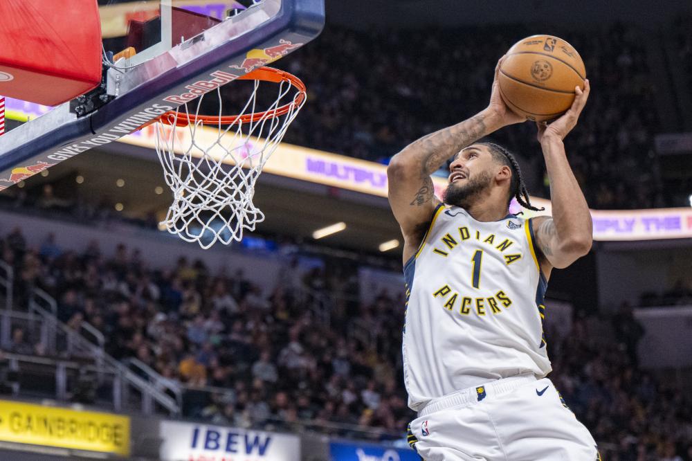 专注于人工 专注于人工