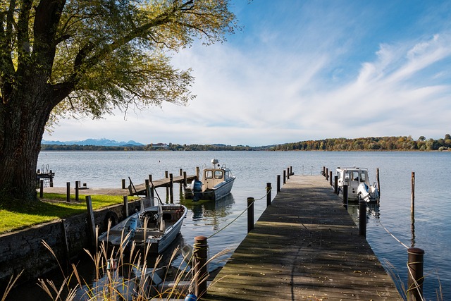 在整场比赛 在整场比赛