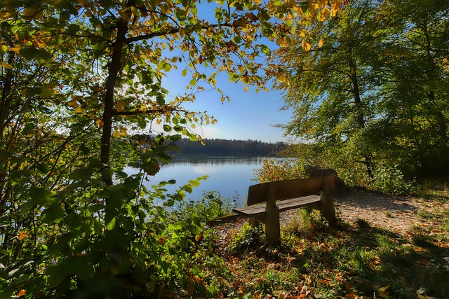 热议的焦点 热议的焦点