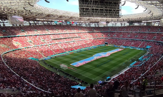 公司和社会 公司和社会